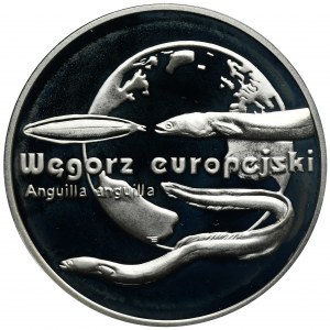 20 gold 2003 European eel