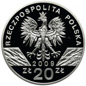 20 złotych 2009 Jaszczurka Zielona