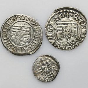 Set, Hungary, Parvi and Denarius (3 pcs.)