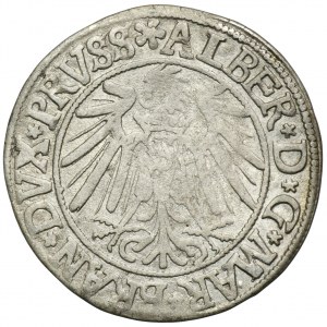 Herzogliches Preußen, Albrecht Hohenzollern, Grosz Königsberg 1540