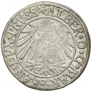 Duchy of Prussia, Albert Hohenzollern, Groschen Königsberg 1540