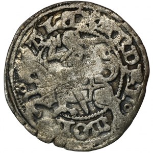 Alexander Jagiellon, Halfgroat undated Vilnius - RARE