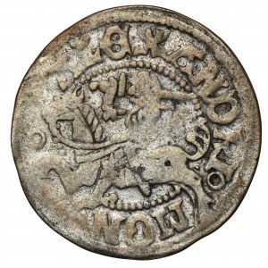 Alexander Jagiellon, Halfgroat undated Vilnius - RARE