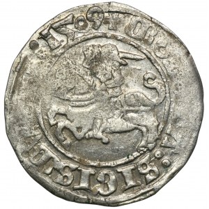 Sigismund I. der Alte, Halber Pfennig Vilnius 1509