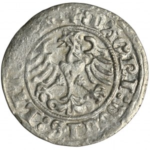 Sigismund I. der Alte, Halbpfennig Vilnius 1510 - RARE