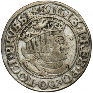Sigismund I the Old, Groschen Thorn 1532 - PRVSS