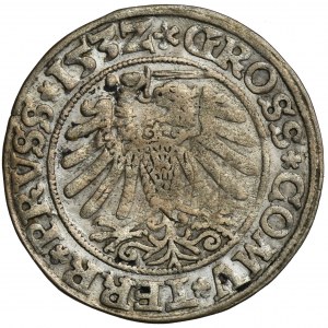 Sigismund I. der Alte, Grosz Toruń 1532 - PRVSS