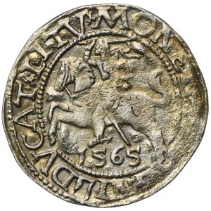 Sigismund II. Augustus, halber Pfennig Vilnius 1565