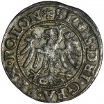 Sigismund I the Old, Shilling Danzig 1546