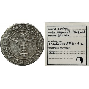 Sigismund II. Augustus, Szeląg Gdańsk 1549 - RZADKI, ex. Marzęta