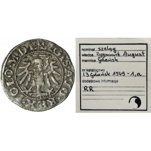 Zygmunt II August, Szeląg Gdańsk 1549 - RZADKI, ex. Marzęta