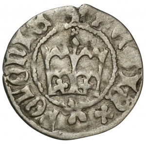 Kazimierz IV Jagiellończyk, Halbpfennig Krakau ohne Datum