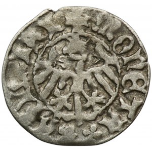 Casimir IV Jagiellon, 1/2 Groschen Cracow undated