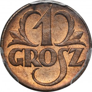 1 grosz 1923 - PCGS MS64 RB