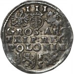 Sigismund III. Vasa, Trojak Lublin 1595 - ex. Marzęta, Buch FREE