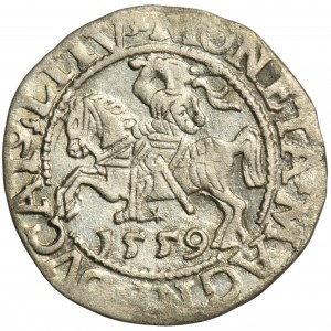 Sigismund II Augustus, halber Pfennig Vilnius 1559 - L/LITV