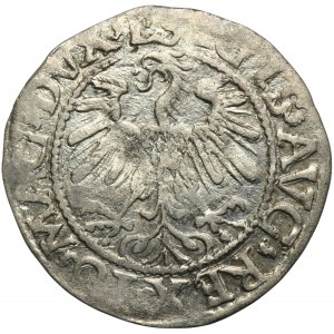 Sigismund II Augustus, halber Pfennig Vilnius 1559 - L/LITV