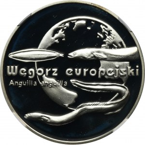 20 złotych 2003 Węgorz europejski - NGC PF68 ULTRA CAMEO