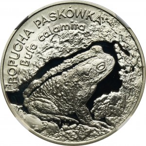 20 złotych 1998 Ropucha Paskówka - NGC PF68 ULTRA CAMEO