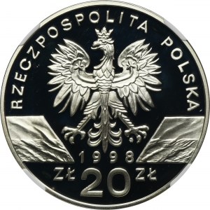 20 złotych 1998 Ropucha Paskówka - NGC PF68 ULTRA CAMEO