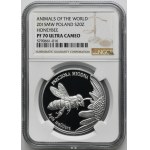 20 złotych 2015 Pszczoła Miodna - NGC PF70 ULTRA CAMEO