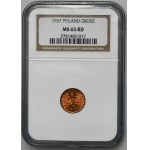 1 grosz 1937 - NGC MS65 RD