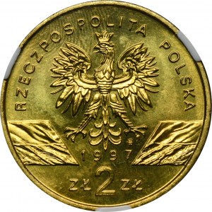 2 Gold 1997 Hirschhorn