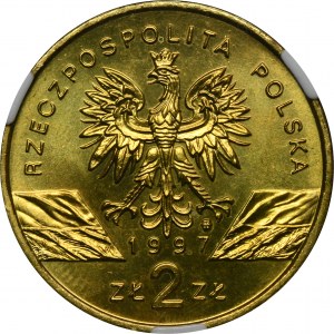 2 Gold 1997 Hirschhorn