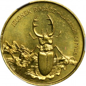 2 gold 1997 Deerhorn