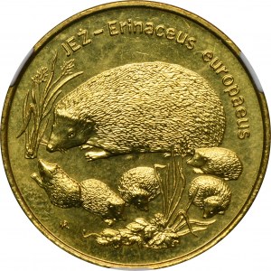 2 gold 1996 Hedgehog