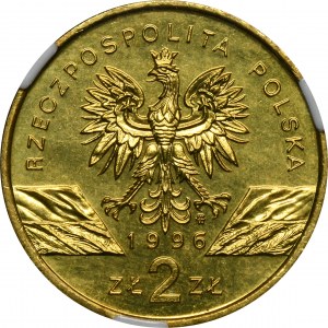 2 Gold 1996 Igel