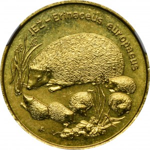 2 Gold 1996 Igel