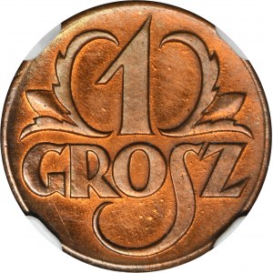1 grosz 1923 - NGC UNC DETAILS