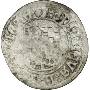 Schlesien, Herzogtum Legnicko-Brzesko-Wołowo, Friedrich II, Pfennig ohne Datum Legnica - RARE