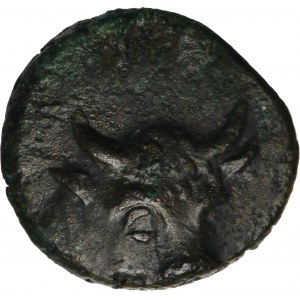 Greece, Cimmerian Bosporos, Pantikapaion, AE13