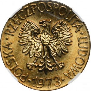 10 Gold 1973 Kosciuszko - NGC MS64