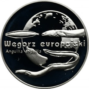 20 złotych 2003 Węgorz europejski