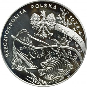 10 Gold 2001 Michał Siedlecki