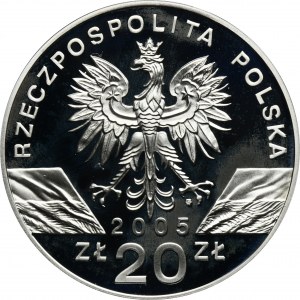 20 zloty 2005 Puffin