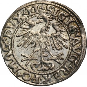 Zygmunt II August, Półgrosz Wilno 1552 - LI/LITVA - RZADSZY