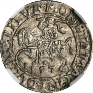 Sigismund II Augustus, halber Pfennig Vilnius 1557 - NGC AU55