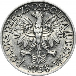 5 złotych 1958 Rybak - wąska ósemka