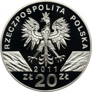20 złotych 2011 Borsuk
