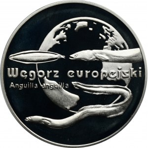 20 Gold 2003 Europäischer Aal