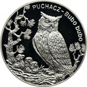 20 złotych 2005 Puchacz