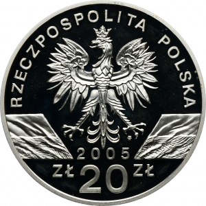 20 złotych 2005 Puchacz