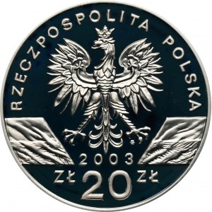 20 złotych 2003 Węgorz europejski