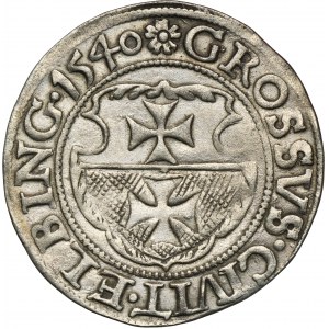 Sigismund I. der Alte, Elbląg-Pfennig 1540 - PRVSSI