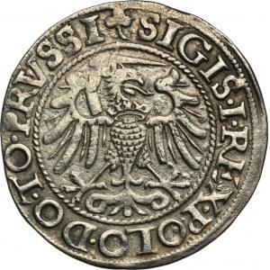 Sigismund I the Old, Groschen Elbing 1540 - PRVSSI