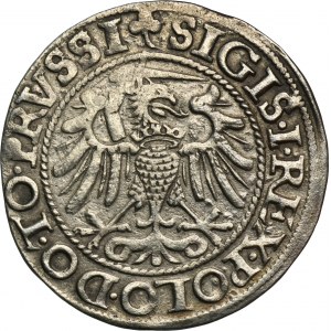 Sigismund I. der Alte, Elbląg-Pfennig 1540 - PRVSSI